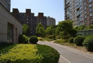 百子灣家園租房,3100元 月,百子灣 沿海賽洛城對面老樓兩居 兩家合住 優(yōu)質(zhì)房源 北京租房 推推99北京房產(chǎn)網(wǎng)