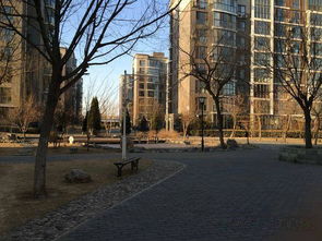 雍景天成精裝大二居出租，月租9800元，花園式小區品質生活